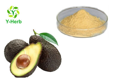 Avocado Powdered Fruit Juice Concentrate Avocado Seed Leaf Extract Capsules Powder