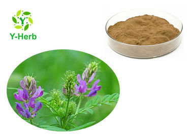 Pure Alfalfa Hay Powder 10:1 50:1 100:1 Bulk Organic Alfalfa Grass Extract Powder
