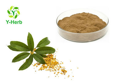 Sweet-Scented Organic Flower Powder 10:1 50:1 Bulk Osmanthus Fragrans Lour Extract