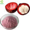 100% Pure Organic Juice Concentrate Mangosteen Fruit Powder Mangosteen Powder