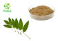 Polygonatum Odoratum Extract Powder Fragrant Solomonseal Rhizome Root Leaf Extract