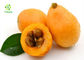 Organic Loquat Powdered Fruit Juice Concentrate Eriobotrya Japonica Extract