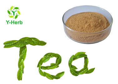 Green Tea Leaf Extract Powder 98% Polyphenol Catechin Camellia Sinensis Powder