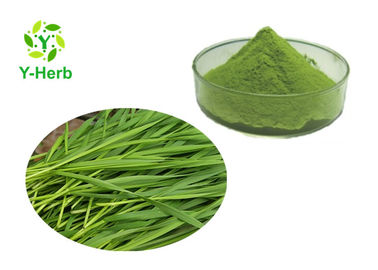 Spray Drying Fresh Wheat Grass Juice Powder Water Soluble Cool Dry Place Storage